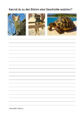 Bildimpulse.pdf